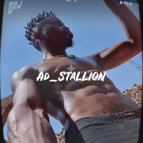 Ad_stallion's avatar