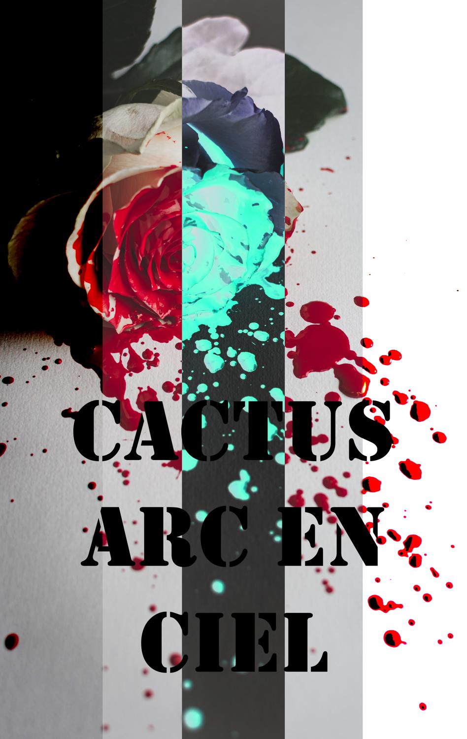 Cactusarcenciel's media