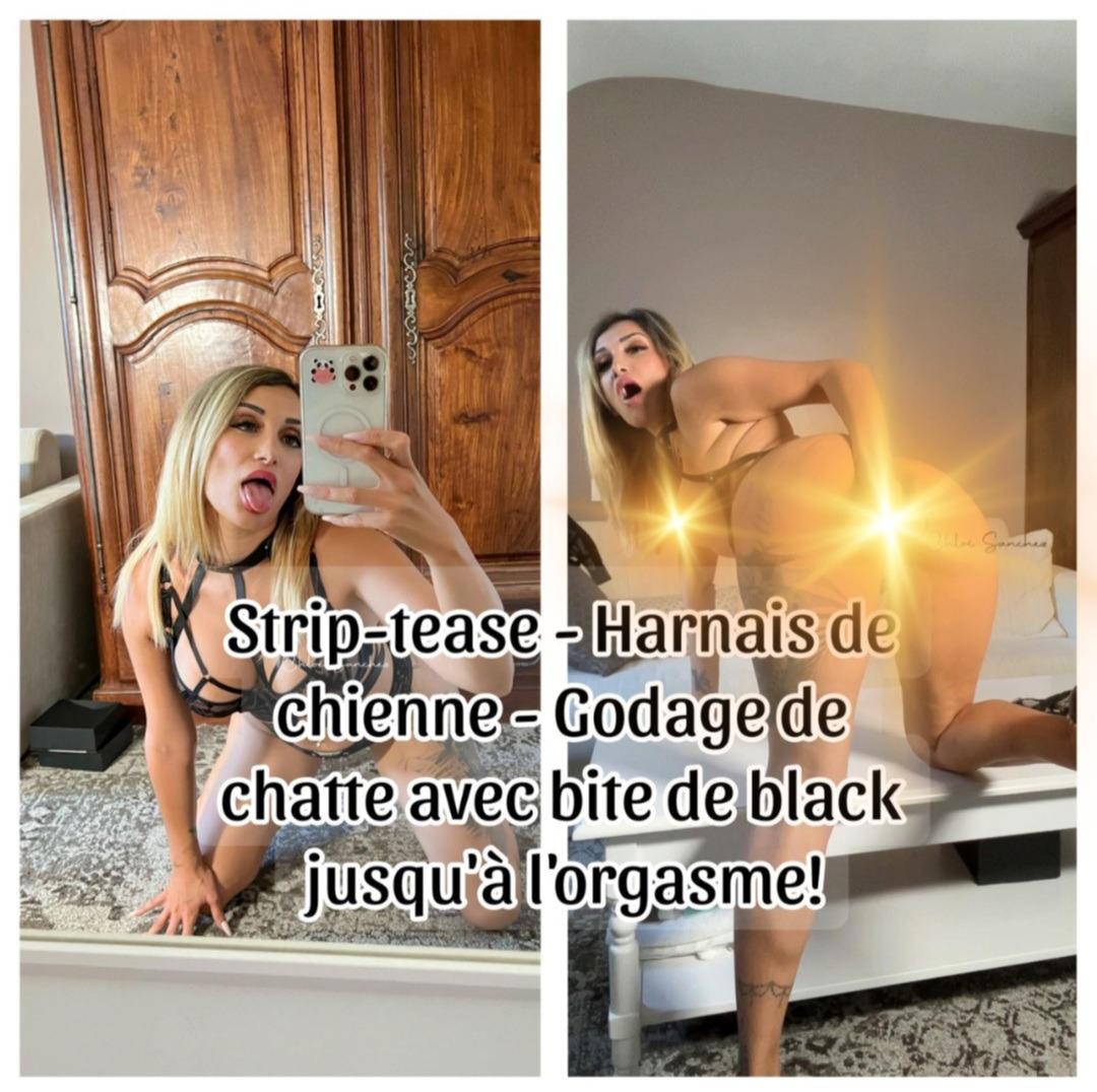 Chloesanchez's media