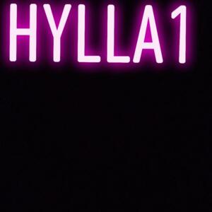 Hylla1's media