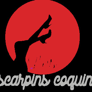 Lesescarpinscoquins's media