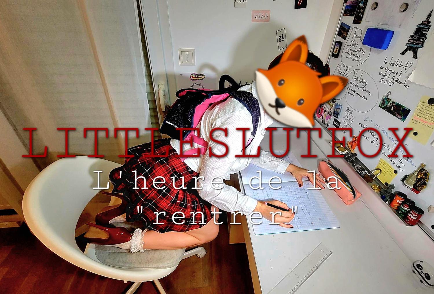 Littleslutfox's media