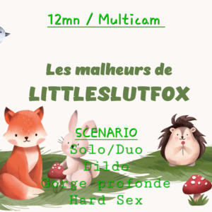 Littleslutfox's media