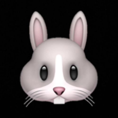 Nastybunny69's avatar