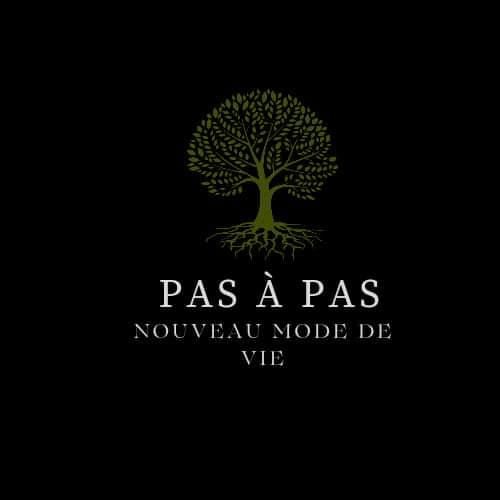 Pas-a-pas-nouveau-mode-de-vie's avatar