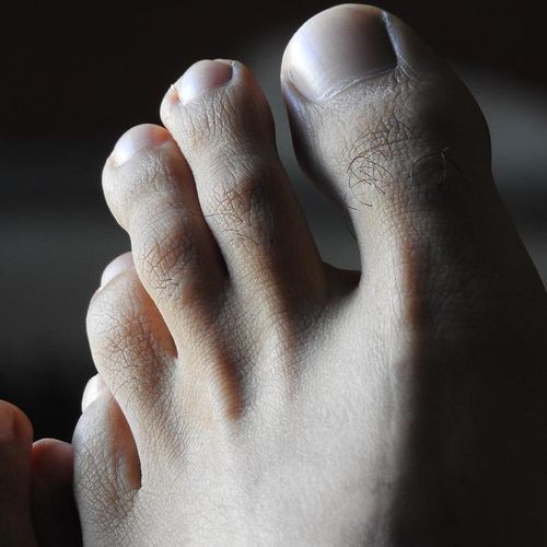 Pieds-fetish's avatar