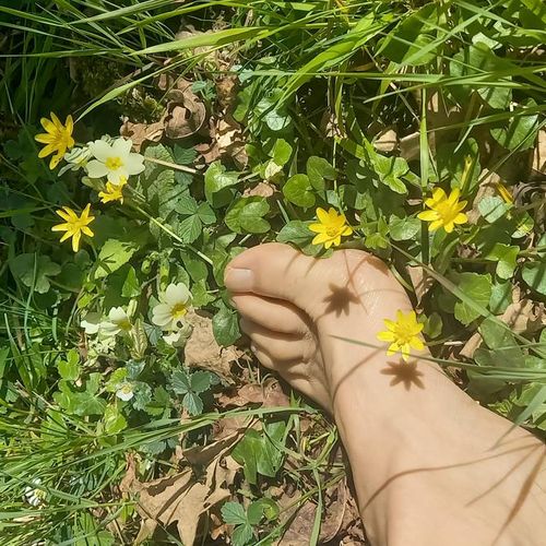 Pieds-nature's avatar