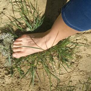 Pieds-nature's media