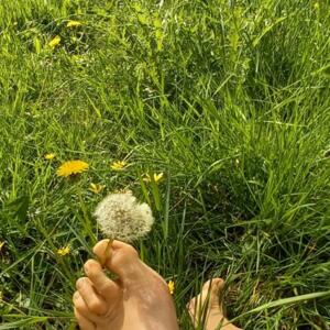 Pieds-nature's media