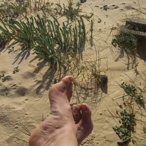 Pieds-nature's media