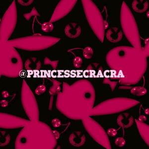 Princessecracra's media