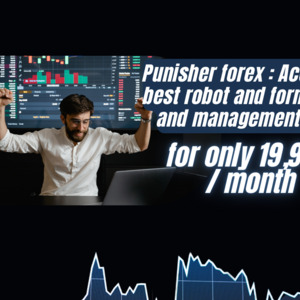 Punisherforex's media