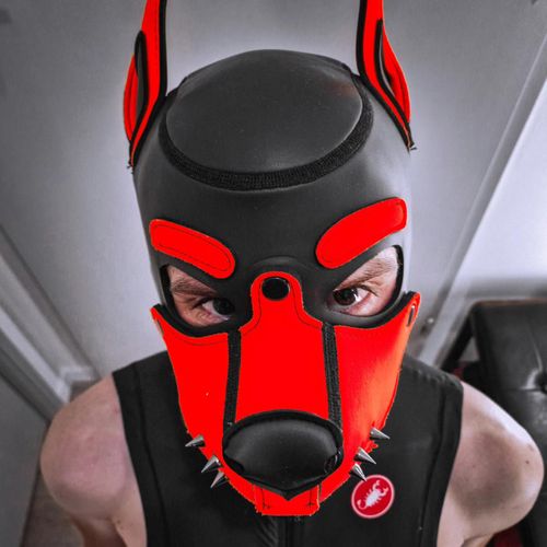 Puppy_jimbo's avatar