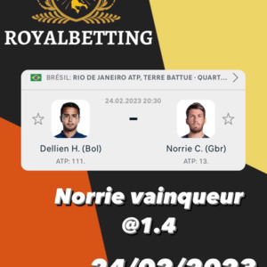 Royalbetting's media