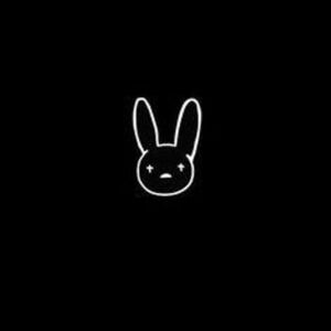 Theboy_rabbit's avatar