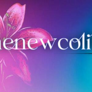 Thenewcolibri's media