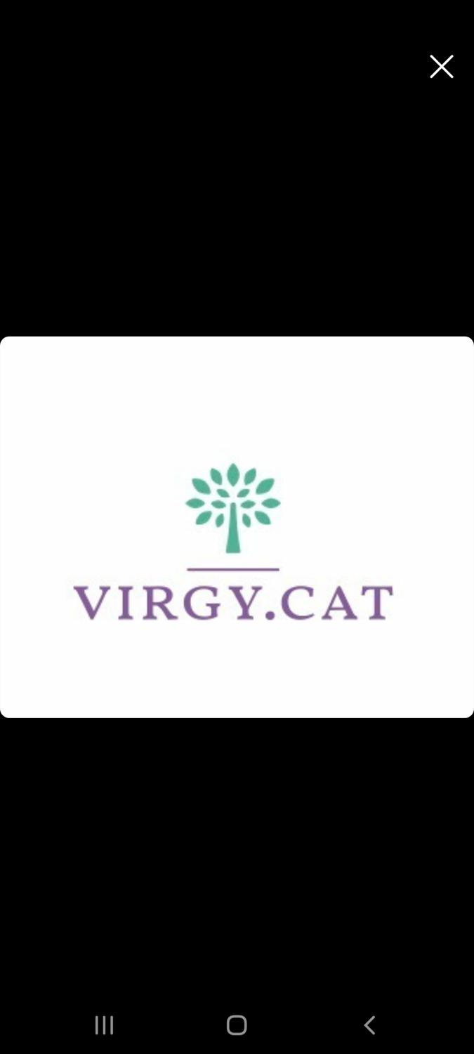 Virgy_cat's media